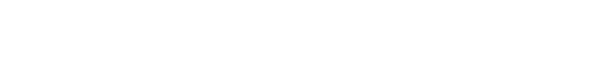 detailer suite web logo with white text